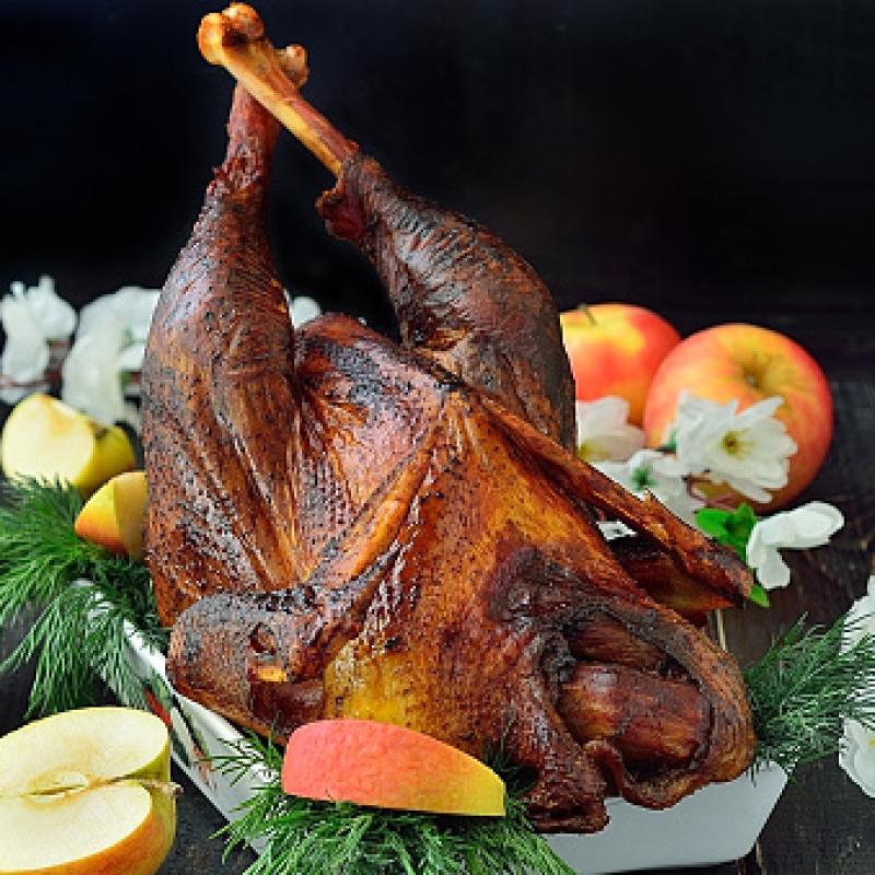 ROOSTER - KALASHER (Tuesdays)